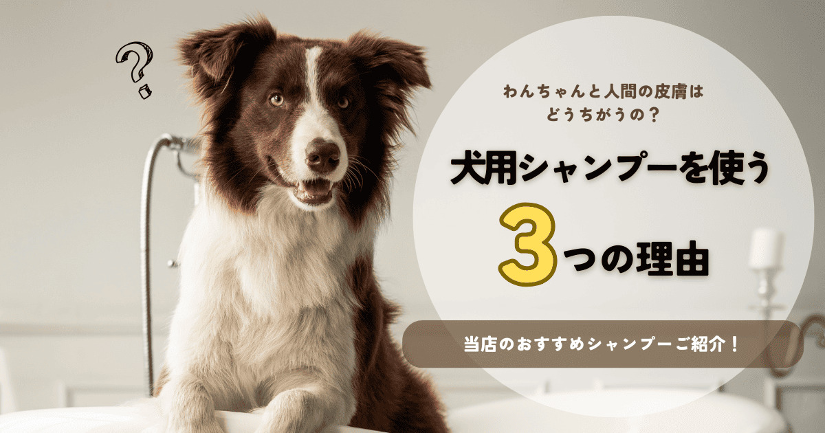 春のスキンケアキャンペーンバナー