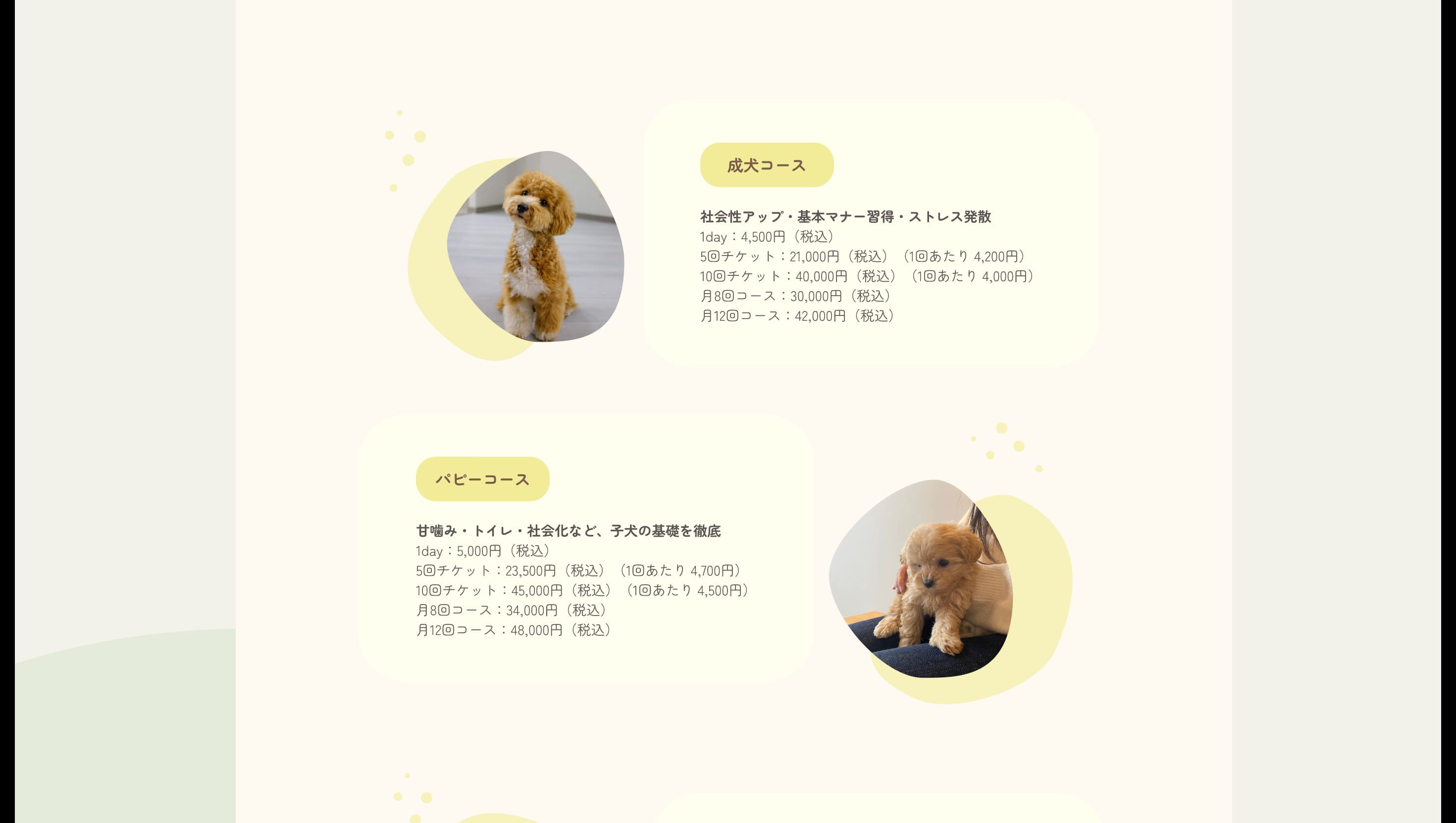 情報整理されたコンテンツ構成